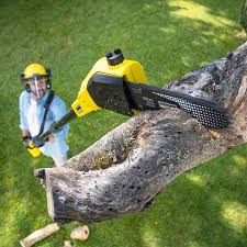 Lawn Drainage Solutions in Angola, NY