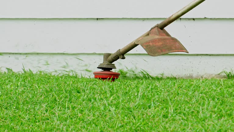 Best Utility Line Clearance  in Angola, NY